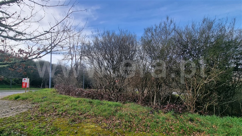 Terreno para Construção  Montalegre, Montalegre e Padroso - 1379506 - 7