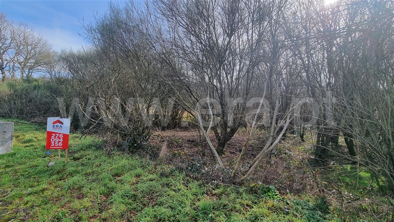 Terreno para Construção / Montalegre, Montalegre e Padroso