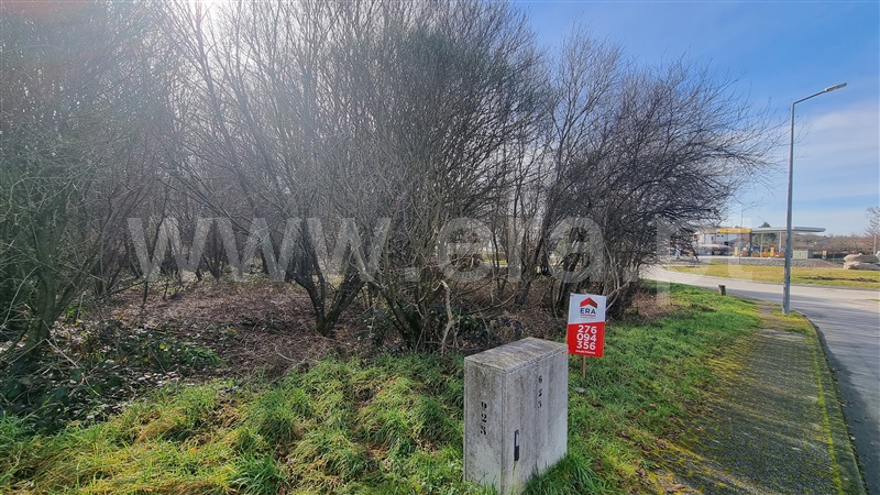 Terreno para Construção  Montalegre, Montalegre e Padroso - 1379508 - 6