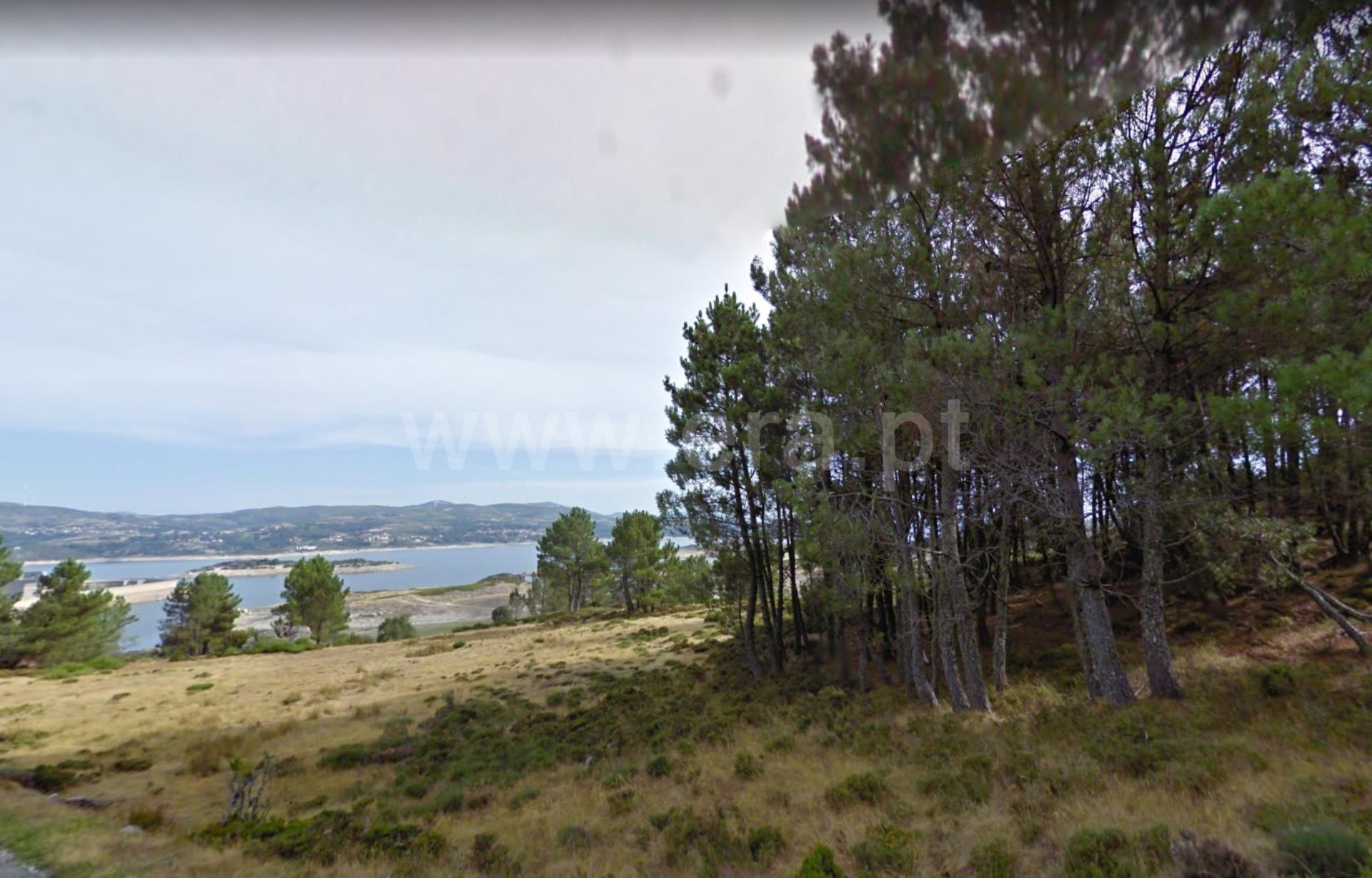 Land for sale in Montalegre, Portugal — €195,000