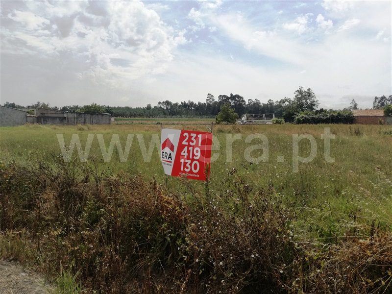 Terreno para Construção / Montemor-o-Velho, Arazede
