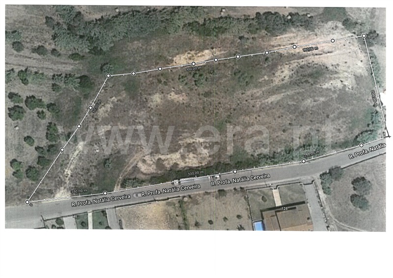 Terreno para Construção  Montemor-o-Velho, Meãs do Campo - 1204693 - 3