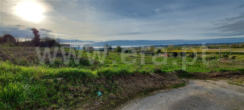 Terreno para Construção / Montemor-o-Velho, Montemor-o-Velho