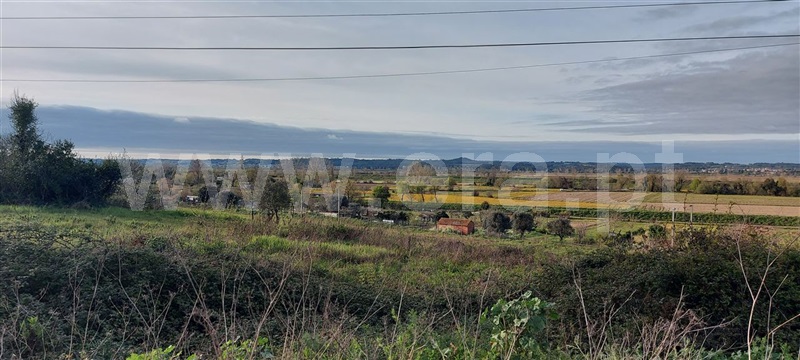 Terreno para Construção  Montemor-o-Velho, Montemor-o-Velho - 1162521 - 3