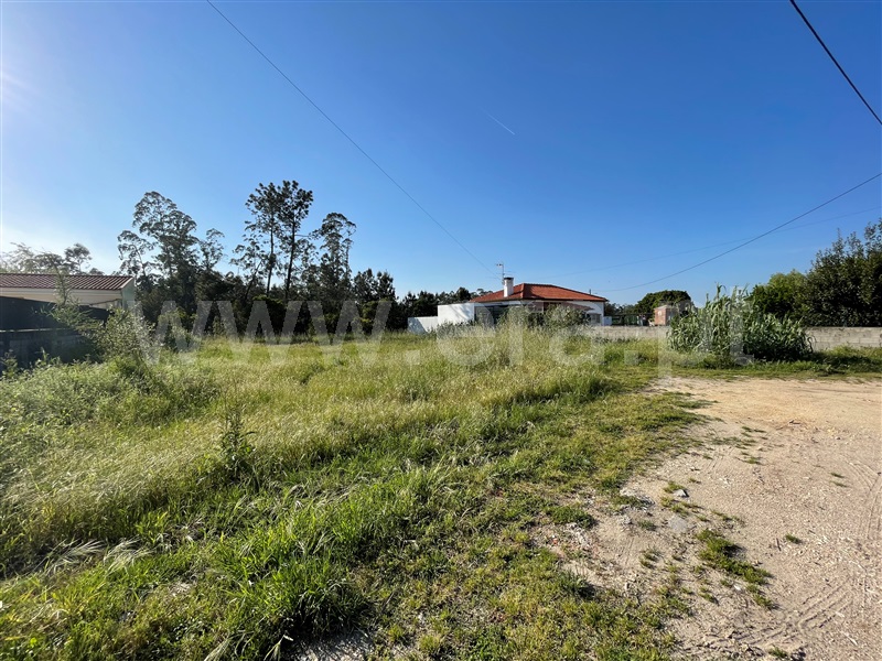 Terreno para Construção / Montemor-o-Velho, Montemor-o-Velho