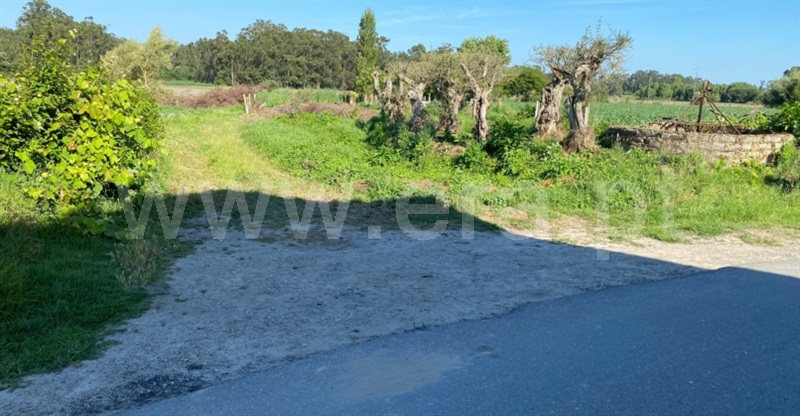 Terreno para Construção  com Aprovado Murtosa, Bunheiro - 1431658 - 35