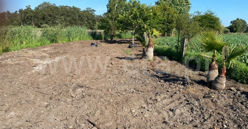 Terreno para Construção  com Aprovado Murtosa, Bunheiro - 1431658 - 37
