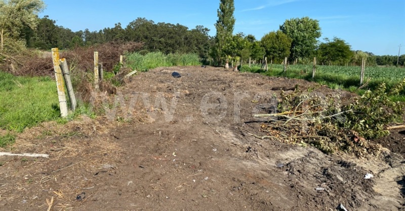 Terreno para Construção  com Aprovado Murtosa, Bunheiro - 1431658 - 39