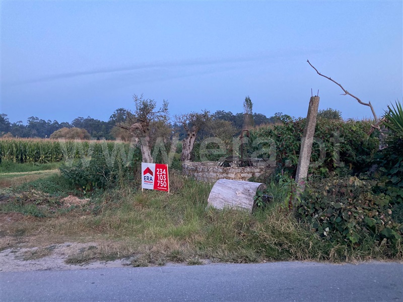 Terreno para Construção  com Aprovado Murtosa, Breja - 1431658 - 40