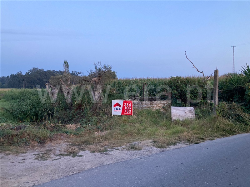 Terreno para Construção  com Aprovado Murtosa, Breja - 1431658 - 42