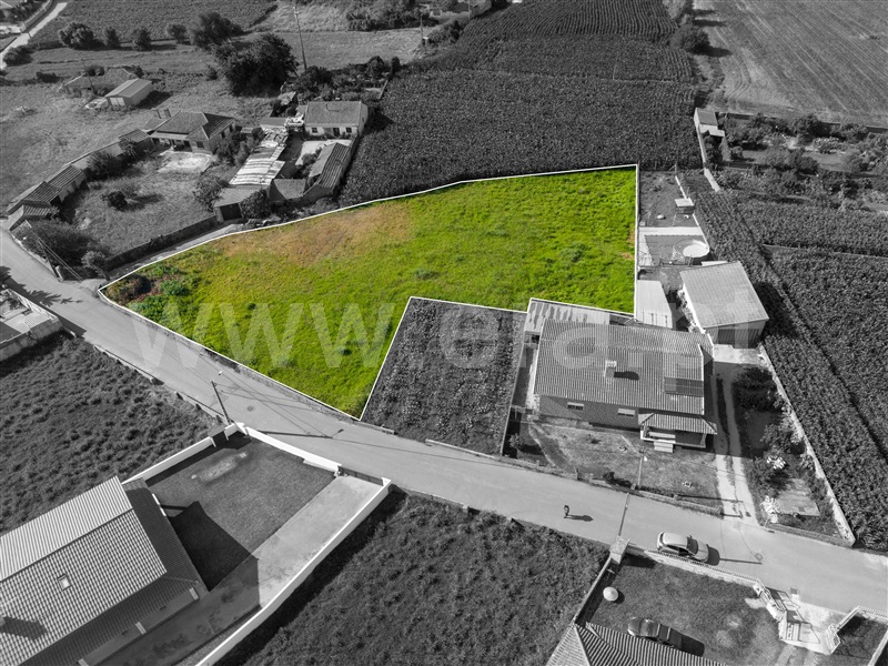 Terreno para Construção  Murtosa, Bunheiro - 1035182 - 6