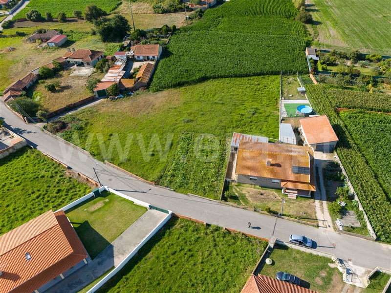 Terreno para Construção  Murtosa, Bunheiro - 1035182 - 7