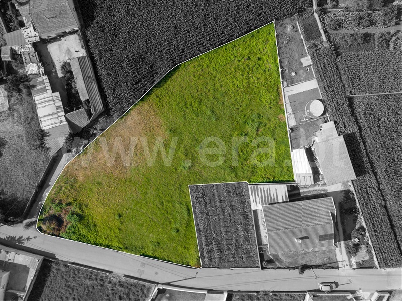 Terreno para Construção / Murtosa, Bunheiro