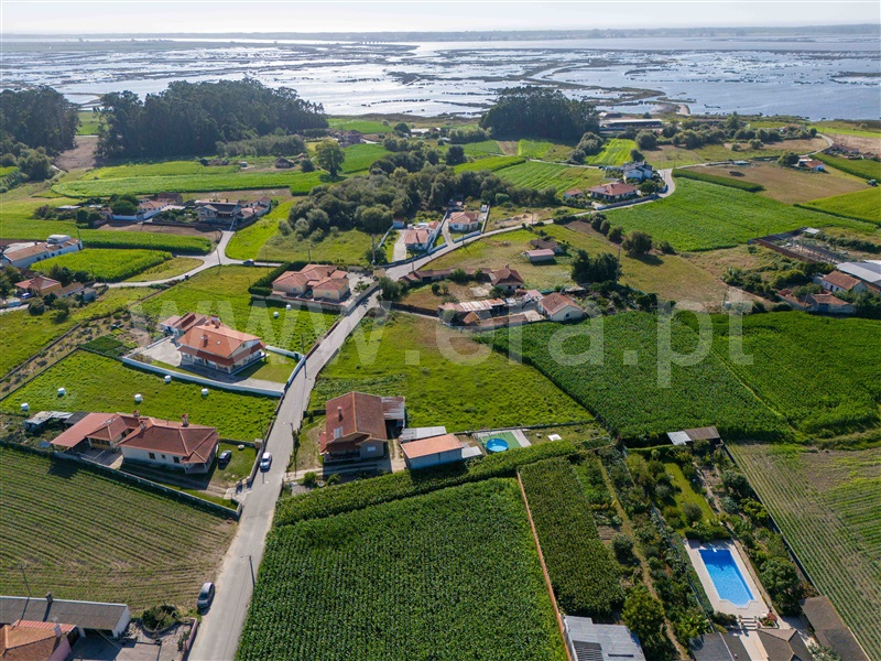 Terreno para Construção  Murtosa, Bunheiro - 1035182 - 11