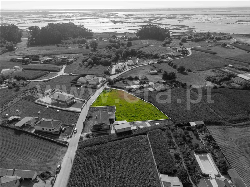 Terreno para Construção  Murtosa, Bunheiro - 1035182 - 12