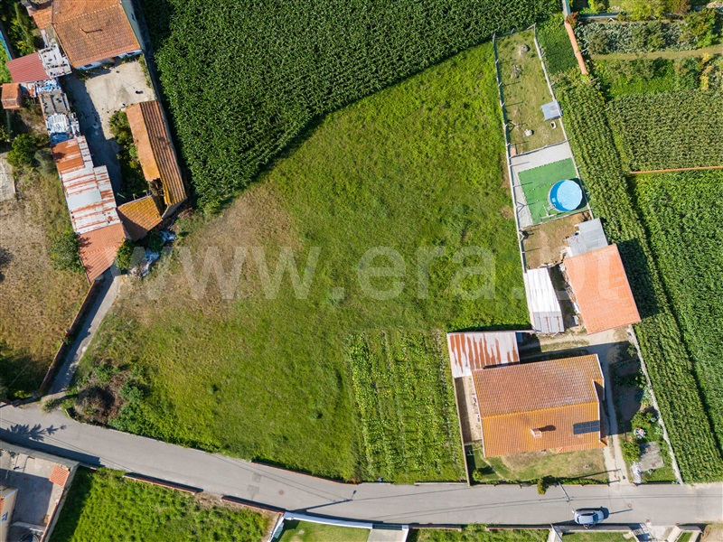 Terreno para Construção  Murtosa, Bunheiro - 1035182 - 13