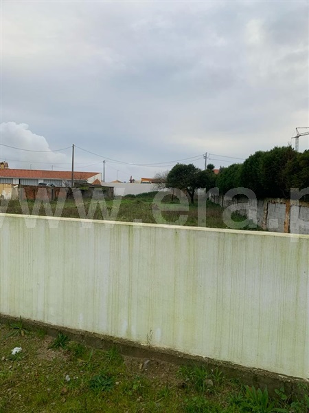 Terreno para Construção  Murtosa, Monte - 1377207 - 6