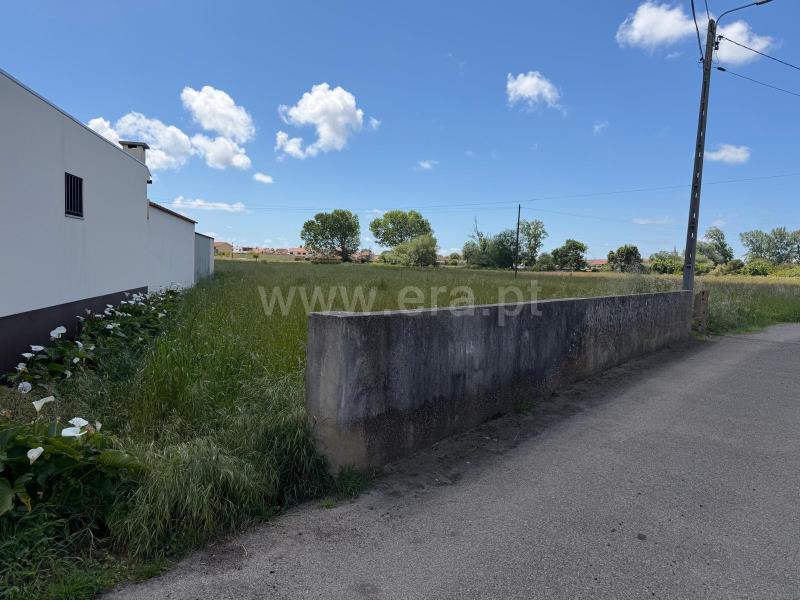 Terreno para Construção / Murtosa, Monte