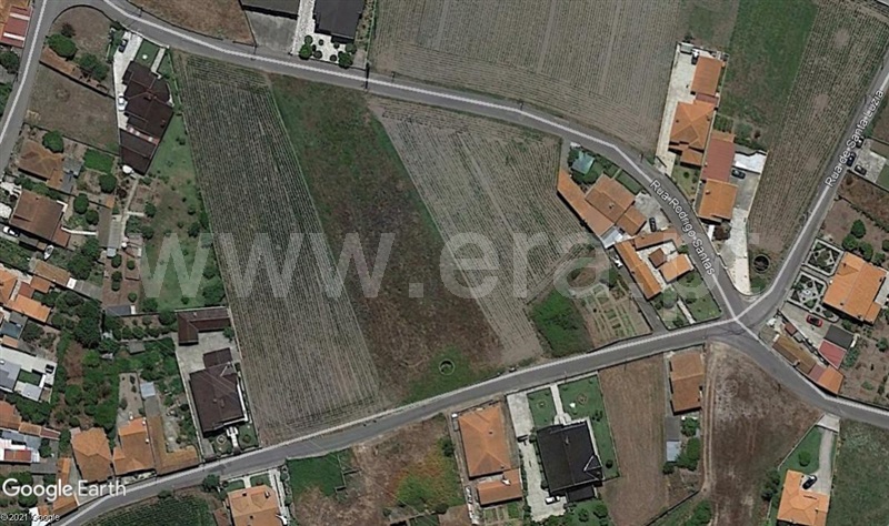 Terreno para Construção  Murtosa, Monte - 79495 - 9