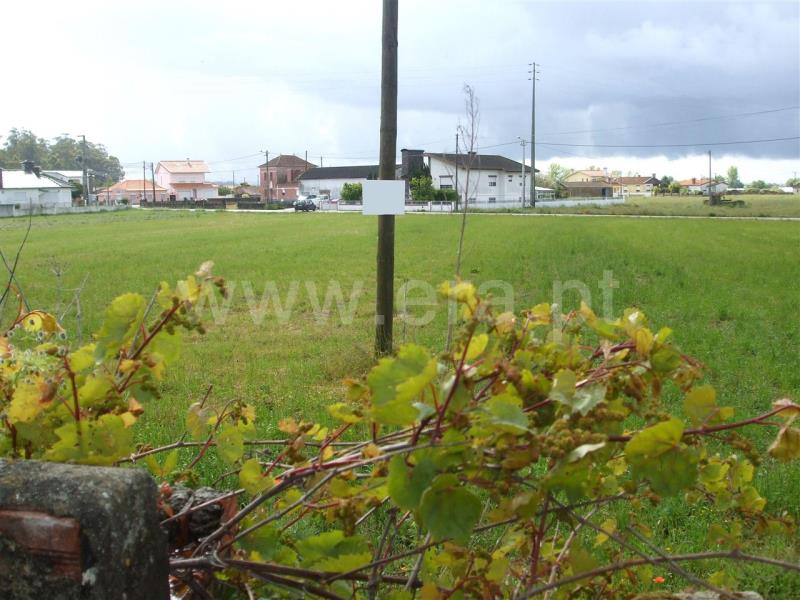 Terreno para Construção  Murtosa, Monte - 79495 - 2