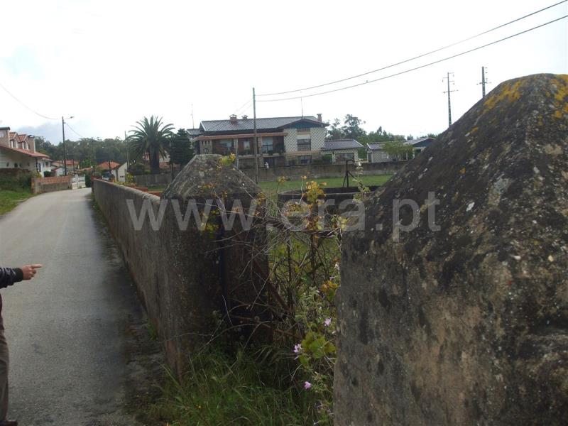 Terreno para Construção  Murtosa, Monte - 79495 - 3