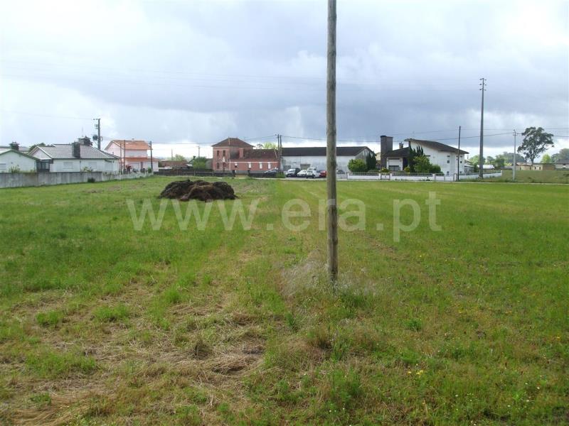Terreno para Construção  Murtosa, Monte - 79495 - 4