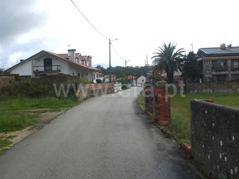 Terreno para Construção  Murtosa, Monte - 79495 - 6