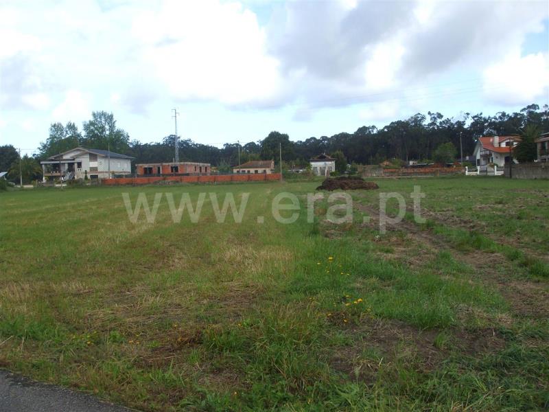 Terreno para Construção / Murtosa, Monte