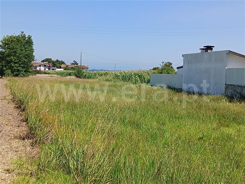 Terreno para Construção  Murtosa, Quintas do Norte - 1502387 - 2