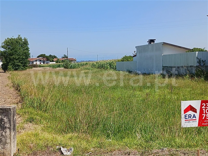 Terreno para Construção  Murtosa, Quintas do Norte - 1502387 - 3