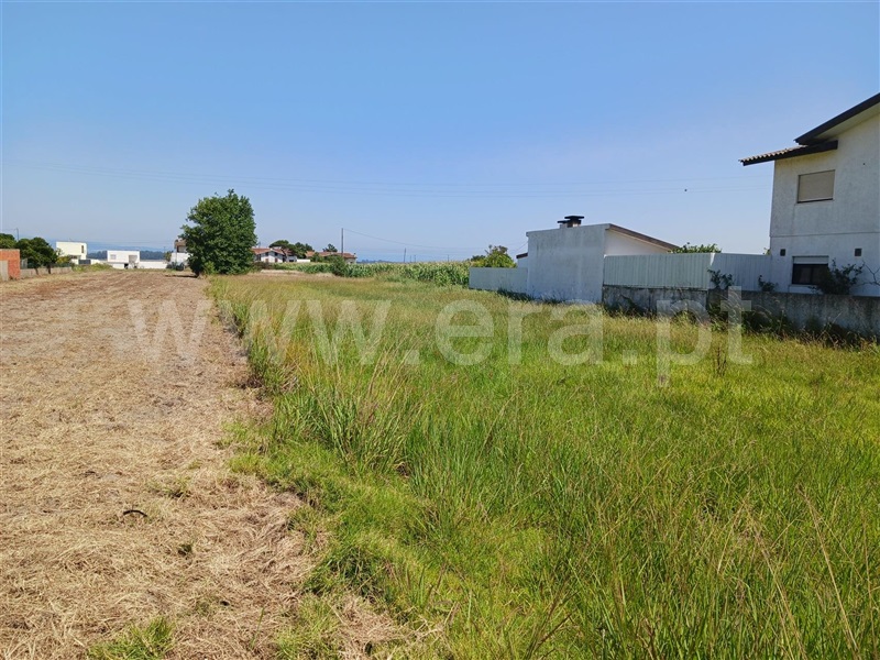 Terreno para Construção  Murtosa, Quintas do Norte - 1502387 - 4