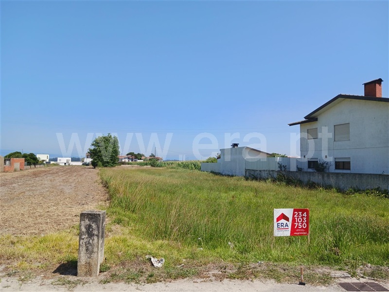 Terreno para Construção / Murtosa, Quintas do Norte
