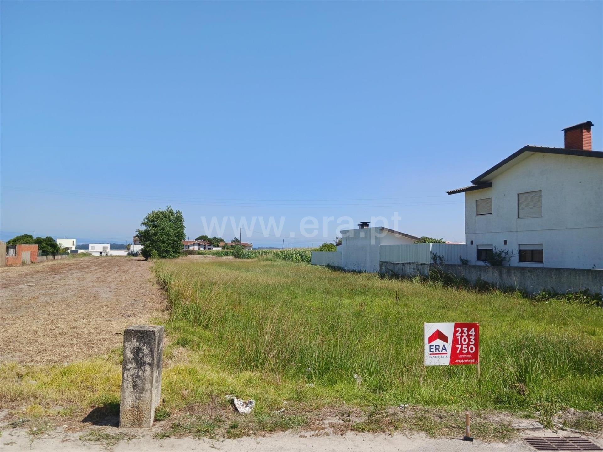 Terreno em Murtosa