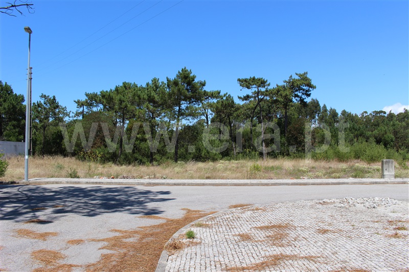 Terreno para Construção  Murtosa, Quintas do Sul - 1184105 - 5