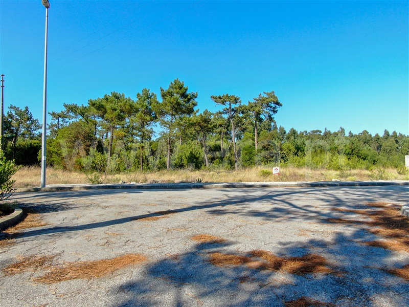 Terreno para Construção  Murtosa, Quintas do Sul - 1184105 - 11