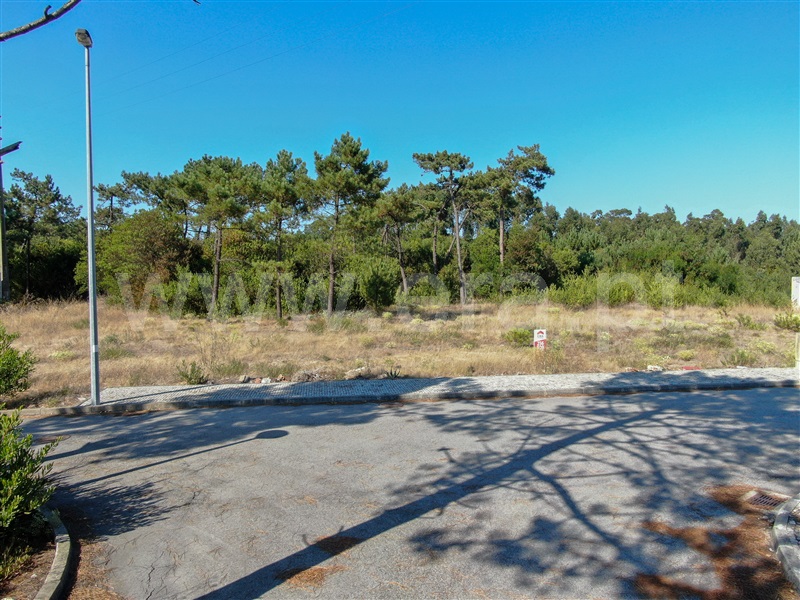 Terreno para Construção  Murtosa, Quintas do Sul - 1184105 - 12