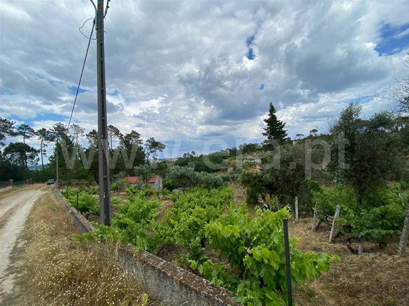 Terreno para Construção / Nelas, Carvalhal Redondo e Aguieira