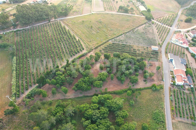 Terreno para Construção  Óbidos, Casais da Navalha - 1486089 - 2