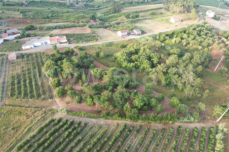 Terreno para Construção  Óbidos, Casais da Navalha - 1486089 - 3
