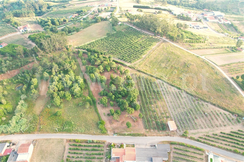 Terreno para Construção  Óbidos, Casais da Navalha - 1486089 - 4