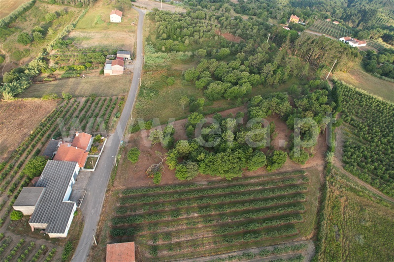 Terreno para Construção  Óbidos, Casais da Navalha - 1486089 - 5