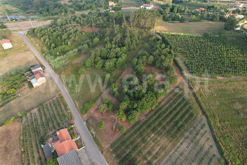 Terreno para Construção  Óbidos, Casais da Navalha - 1486089 - 6
