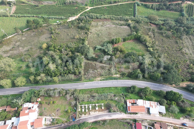 Terreno para Construção  Óbidos, A-dos-Negros - 1279265 - 9