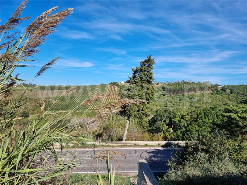Terreno para Construção  Óbidos, Sancheira Grande - 1279265 - 10