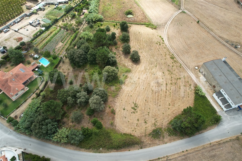 Terreno para Construção  Óbidos, Trás-do-Outeiro - 1503904 - 2