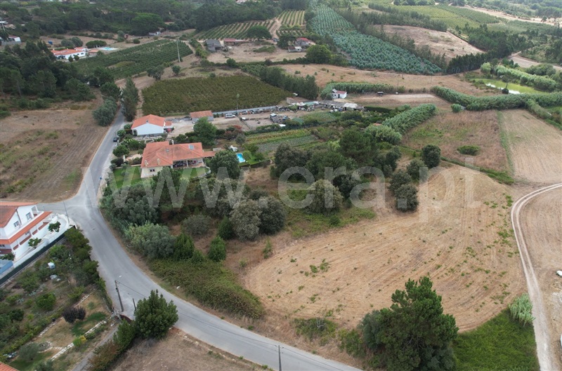 Terreno para Construção  Óbidos, Trás-do-Outeiro - 1503904 - 6