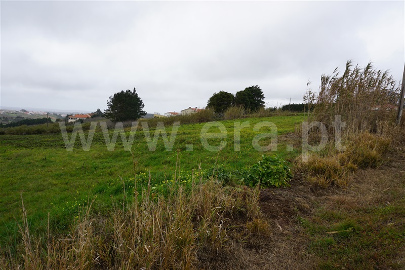 Terreno para Construção  Óbidos, Usseira - 1311242 - 3