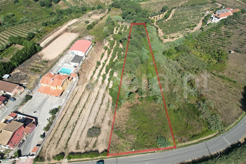 Terreno para Construção / Óbidos, Usseira