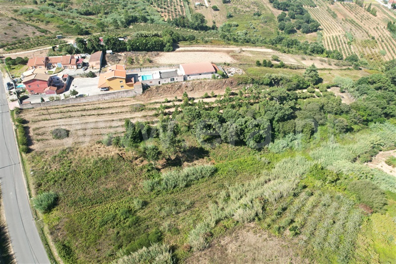 Terreno para Construção  Óbidos, Usseira - 1423692 - 4