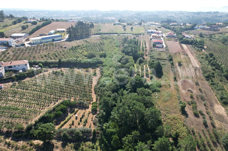 Terreno para Construção  Óbidos, Usseira - 1423692 - 5